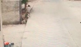 今日揭西爆料视频最新,最新视频揭露惊人真相，引发网友热议！